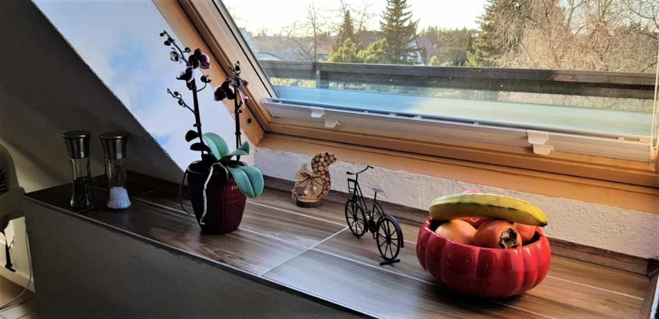 Ferienwohnung Am Park Leipzig Eksteriør bilde